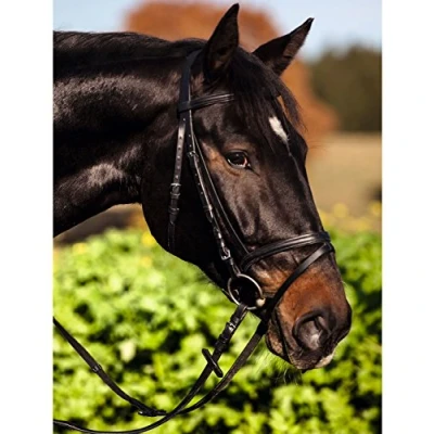 Abbildung von Kerbl 321744 Trensenzaum Standard Leder für Warmblut, braun