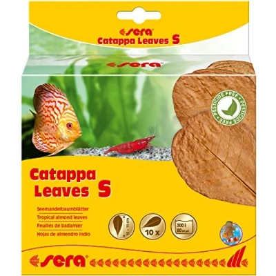 Abbildung von sera Catappa Leaves S 10 15 cm (10St) Seemandelbaumblätter für die natürliche Wasseraufbereitung