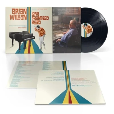 Abbildung von Brian Wilson Long Promised Road [Vinyl LP]