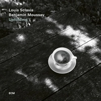 Abbildung von Unfolding [Vinyl LP]
