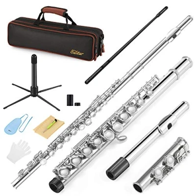 Abbildung von Eastar EFL 1 16 Keys Flute Nickel Plated Close Hole