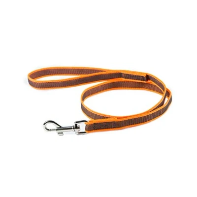 Abbildung von IDC Color &amp; Gray gumierte Leine, 20 mm x 1 m mit Schlaufe, Orange Grau