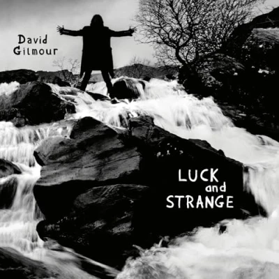 Abbildung von Luck and Strange (Vinyl) [Vinyl LP]