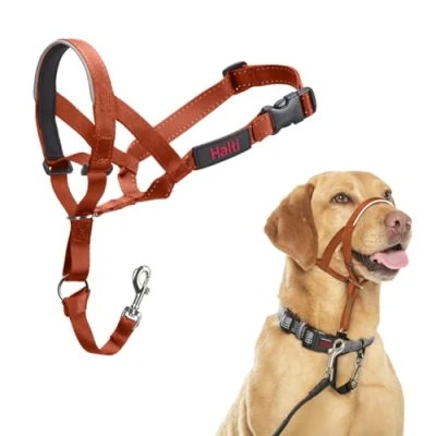 Abbildung von HALTI Kopfgeschirr Verhindert, dass Ihr Hund an der Leine zieht, Einfache Anpassung, Leicht, mit gepolstertem Nasenriemen, Anti Zug Halsband für mittelgroße Hunde (Größe 3, Dunkelorange)