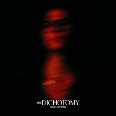 Abbildung von The Dichotomy (Std. 2LP)