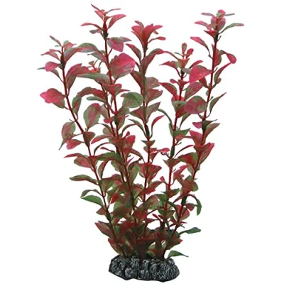 Abbildung von Hobby Ludwigia, 25 cm