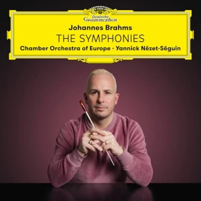 Abbildung von Brahms: the Symphonies