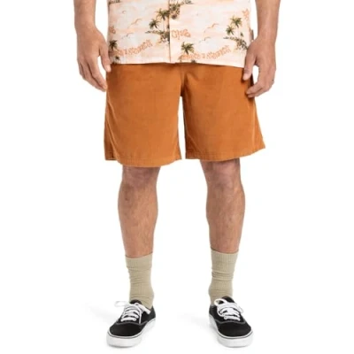 Abbildung von Quiksilver Taxer Shorts, Herren, Größe: Medium, Brown