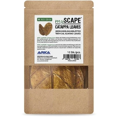 Abbildung von ARKA mySCAPE CATAPPA Leaves 16 20cm / 10 Stück Natürlicher Wasseraufbereiter aus Seemandelbaumblättern für Süßwasseraquarien, verbessert Gesundheit von Fischen &amp; Garnelen