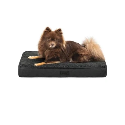 Abbildung von lionto Hundebett orthopädisch, 60x40x8 cm, Robustes Hundekissen mit weichem Plüsch, Bezug abnehmbar &amp; waschbar, wasserabweisend, für kleine große Hunde sowie Katzen geeignet, schwarz