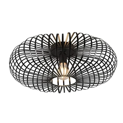 Abbildung von Trio Leuchten Deckenleuchte Johann 606905032, Metall Schwarz matt, exkl. Leuchtmittel 1x E27, Durchmesser 50cm