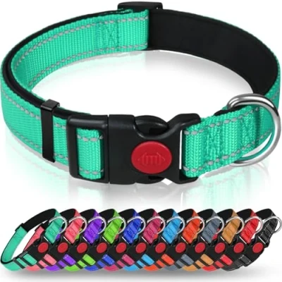 Abbildung von Taglory Hundehalsband, Weich Gepolstertes Neopren Nylon Hunde Halsband für Welpen, Verstellbare und Reflektierend das Training, Türkis