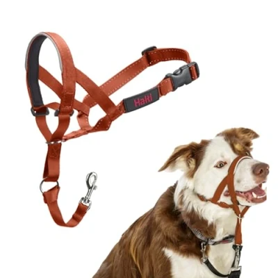 Abbildung von HALTI Kopfgeschirr Verhindert, dass Ihr Hund an der Leine zieht, Einfache Anpassung, Leicht, mit gepolstertem Nasenriemen, Anti Zug Halsband für mittelgroße Hunde (Größe 2, Dunkelorange)