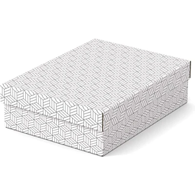 Abbildung von Esselte 3er Set mittelgroße Aufbewahrungs &amp; Geschenkboxen mit Deckel, Schachteln für Wohnung/Büro, Organisationszwecke als Geschenkverpackung, 100% recycelter Karton und recycelbar, Weiß, 628284
