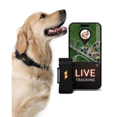 Abbildung von PAJ GPS Tracker für Hunde 4G Weglaufalarme + weltweite Live Ortung bis zu 10 Tage Akkusparmodus Hunderückruf mit Leucht LEDs Wasserdicht (IP67) passt an jedes Halsband schwarz