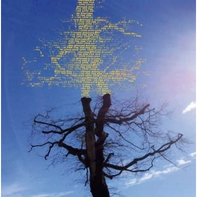 Abbildung von Rooting for Love