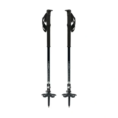 Abbildung von Jones Talon Pro Splitboard Stöcke