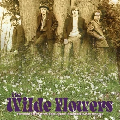 Abbildung von The Wilde Flowers (Ltd Clear Vinyl) [Vinyl LP]