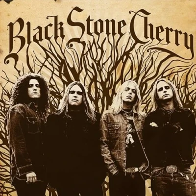 Abbildung von Black Stone Cherry [Vinyl LP]