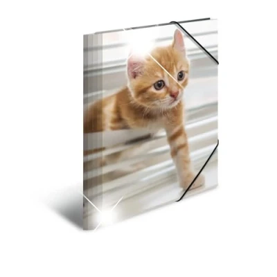 Abbildung von HERMA Sammelmappe A4 Katzen, Kinder Eckspanner Mappe aus Kunststoff mit Tier Motiv, Hochglanz Optik, Gummizug, Innenklappen und Innendruck für Jungen Mädchen