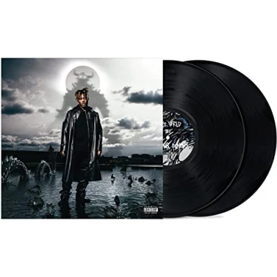 Abbildung von Fighting Demons (2LP) [Vinyl LP]