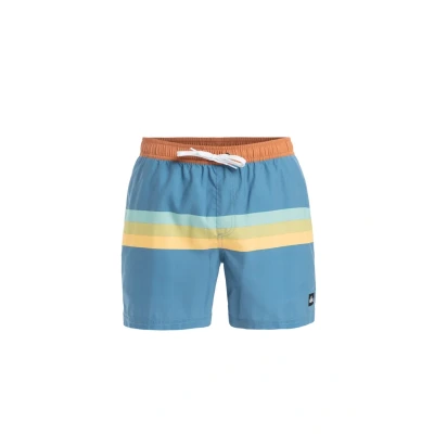 Abbildung von Quiksilver Everyday Straight Badeshorts, Herren, Größe: Medium, Blq