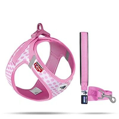 Abbildung von Vest Harness curli Clasp Air Mesh Pink Circles XS &amp; Leash M