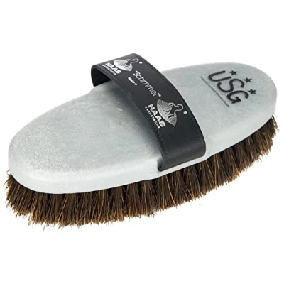 Abbildung von H.A.S HAAS Mould Horse Brush Large Silver 200 x 85,Medium