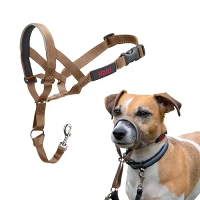 Abbildung von HALTI Kopfgeschirr Verhindert, dass Ihr Hund an der Leine zieht, Einfache Anpassung, Leicht, mit gepolstertem Nasenriemen, Anti Zug Halsband für kleine Hunde (Größe 1, Wüstensand)