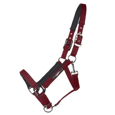 Abbildung von QHP Halter Deluxe