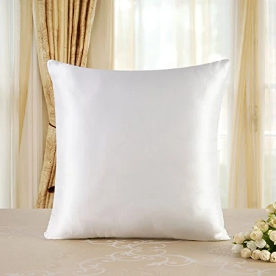 Abbildung von Townssilk 19 Momme 100% Seide Kissenbezug 1 Stück 80x80cm Naturalwhite