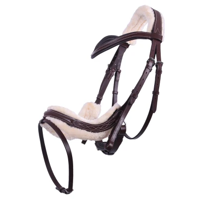 Abbildung von QHP Bridle Ontario