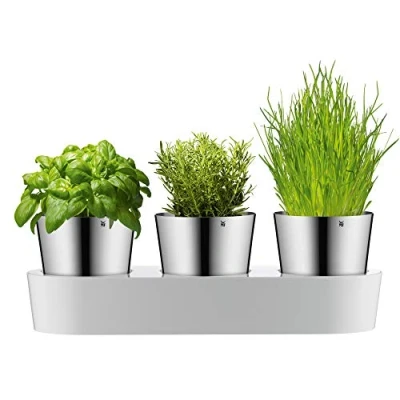 Abbildung von WMF Gourmet Kräutertopf mit Bewässerungssystem 3 teilig, Kräutergarten für die Küche, 36x 12,5x 12,5 cm, frische Küchenkräuter, weiß