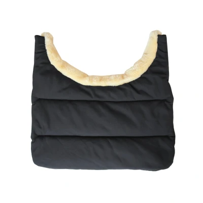 Abbildung von Kentucky Winter BIB