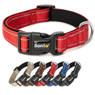 Abbildung von lionto Hundehalsband aus strapazierfähigem Nylon, Größe S, weiches gepolstertes Halsband für Hunde, 360 reflektierend &amp; Klickverschluss, Metallring Anpassung durch stufenlosen Schieber, rot