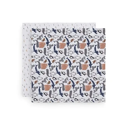 Abbildung von Jollein Mullwindeln Polar 115x115 cm 2 Stück