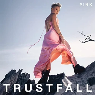 Abbildung von TRUSTFALL