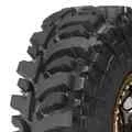 Abbildung von Accelera Badak X treme 33/10.5 R15 115N POR