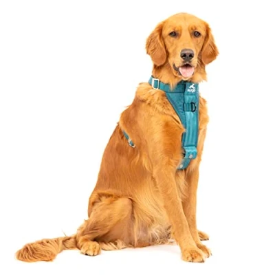Abbildung von Kurgo TRU Fit Hundegeschirr, Crash Test erprobtes Auto Sicherheitsgurt, Für Hunde von 2 bis 5 kg, Größe L, Tinte Blau