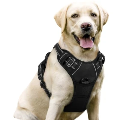 Abbildung von rabbitgoo No Pull Hundegeschirr atmungsaktiv Brustgeschirr Geschirr für Hunde Welpengeschirr Reflexstreifen Sichere Führung Einstellbar Weich Schwarz L