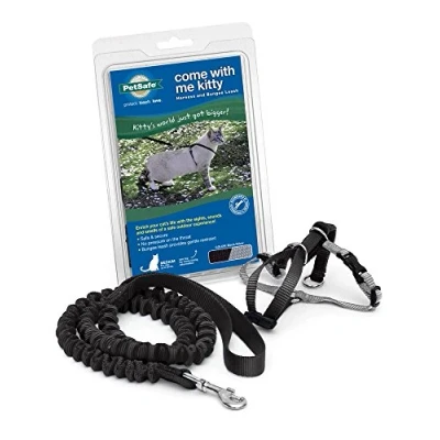 Abbildung von PetSafe Come with Me Kitty Geschirr und Bungee Leine, für Katzen, groß, Schwarz/Silber