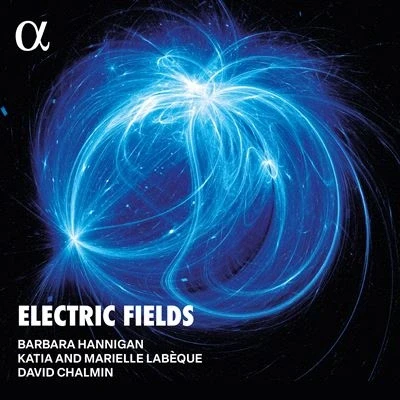 Abbildung von ELECTRIC FIELDS/HANNIGAN