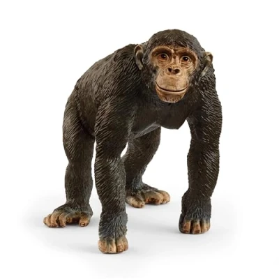 Abbildung von schleich WILD LIFE Schimpanse 14883 detailgetreue Tierfiguren Zoo Spielzeug tolles Geschenk für Jungen und Mädchen Deko Geburtstag Spielfigur ab 3 Jahren 9 x 5 7 cm
