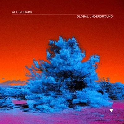 Abbildung von Global Underground:Afterhours 9