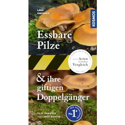 Abbildung von Essbare Pilze und ihre giftigen Doppelgänger
