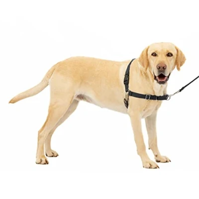 Abbildung von PetSafe Easy Walk Geschirr, Anti Zieh Hundegeschirr, Verringert Würgen und Husten, Mit 1,8 M Leine, Größe L, Schwarz