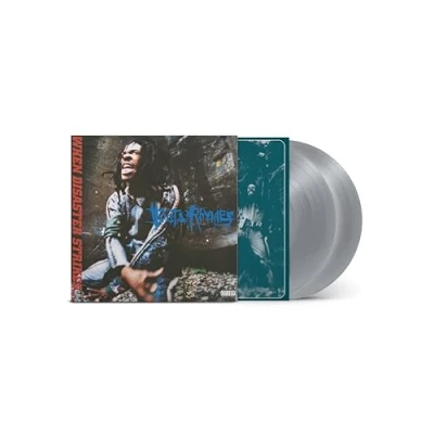 Abbildung von When Disaster Strikes... [Vinyl LP]