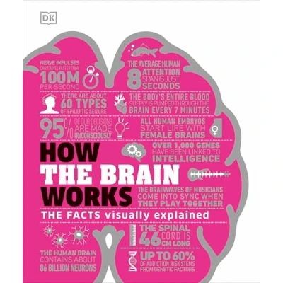 Abbildung von How The Brain Works: Facts Visually Explained (How Things Work)