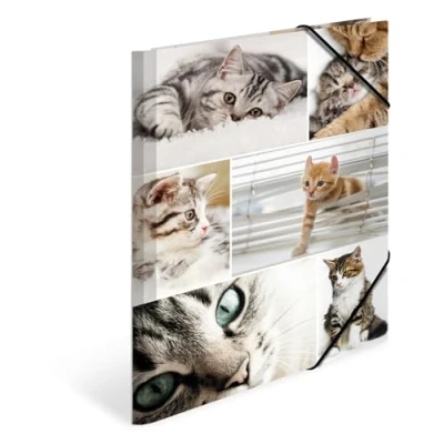 Abbildung von HERMA Sammelmappen A4 Katzen Set, 3 Stück, Kinder Eckspanner Mappen aus Pappe mit Tier Motiv, Gummizug, Innenklappen und Innendruck für Jungen Mädchen