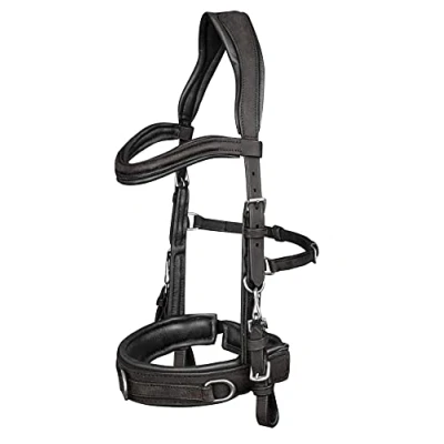 Abbildung von WALDHAUSEN Lederkappzaum, Anatomic, schwarz, WB